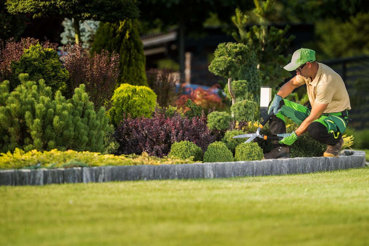 Gardening and landscaping